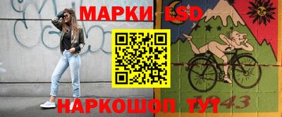 гидропоника Камышлов