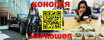 гидропоника Камышлов