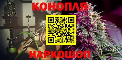 гидропоника Камышлов