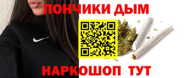 гидропоника Камышлов