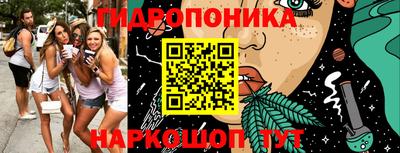 гидропоника Камышлов