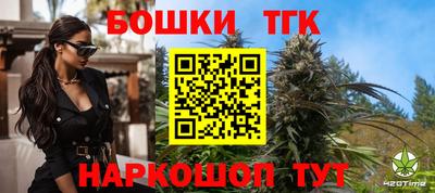 гидропоника Камышлов
